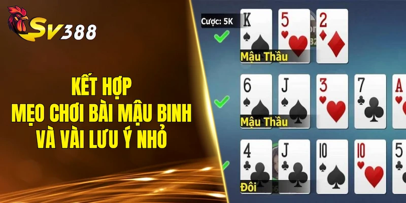 Kết hợp mẹo chơi bài Mậu Binh và vài lưu ý nhỏ