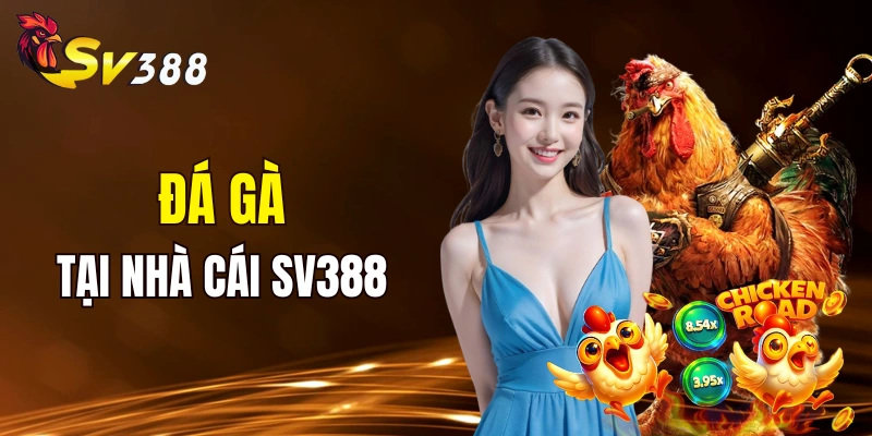 Thông tin về sảnh đá gà SV388